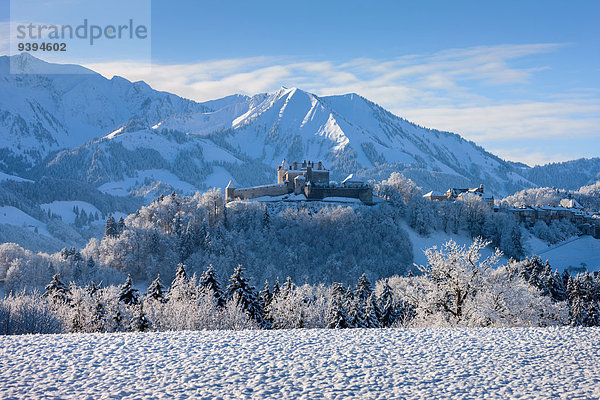 Europa Winter Palast Schloß Schlösser Morgendämmerung Kleinstadt Schweiz Morgenlicht