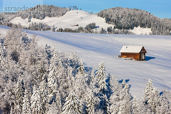 Europa Winter Scheune Schweiz