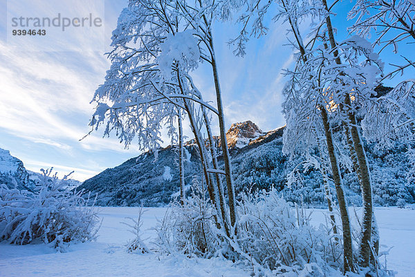 Europa Berg Winter Baum Abenddämmerung Kanton Glarus Schnee Schweiz