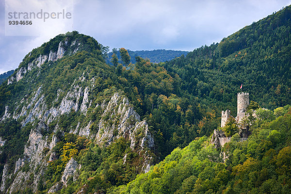 Felsbrocken Europa Palast Schloß Schlösser Steilküste Wald Holz Herbst Kanton Solothurn Schweiz