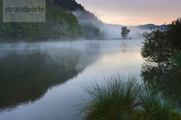 Naturschutzgebiet Europa Spiegelung See Nebel Rheintal Schweiz