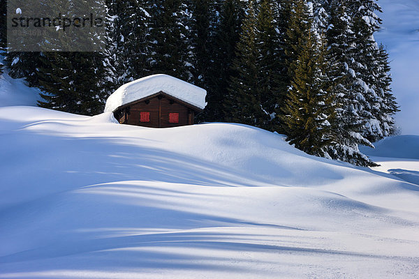 Europa Winter Wohnhaus Wald Holz Kanton Graubünden Schnee Schweiz