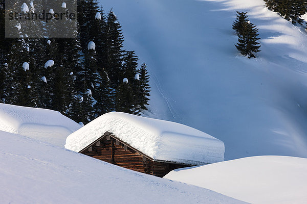 Europa Winter Wohnhaus Wald Holz Kanton Graubünden Schnee Schweiz