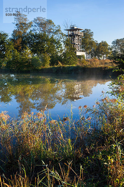 Naturschutzgebiet Europa Spiegelung Observation Tower Rheintal Schweiz