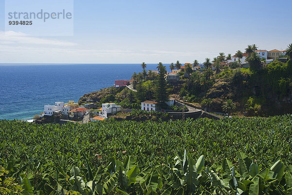 Außenaufnahme Europa Tag Küste Landwirtschaft niemand anbauen Kanaren Kanarische Inseln Plumpsklo Plantage La Palma Spanien