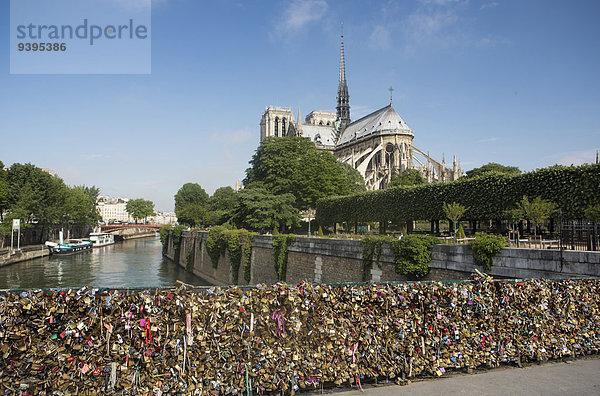 Paris Hauptstadt Frankreich Liebe Reise Großstadt bunt Brücke Fluss Kathedrale Kabine Seine Notre Dame Hardware Tourismus