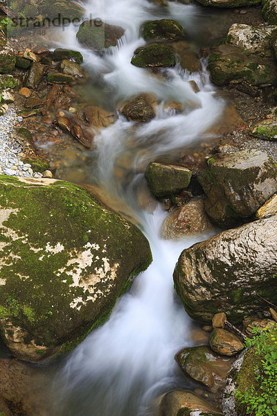 Wasser Fortbewegung bedecken Stein Sommer Ereignis fließen Bach Wasserfall Moos Klamm Schweiz