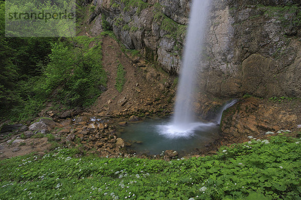 Wasser Fortbewegung bedecken Stein Sommer fließen Fluss Bach Wasserfall türkis Moos Klamm Schweiz