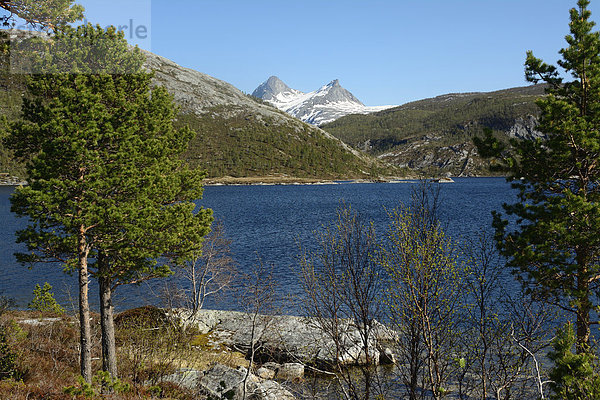 Europa Berg See Norwegen Nordland