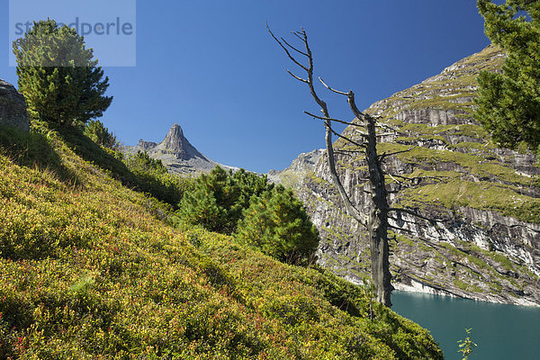 Europa Berg Baum See Zervreilahorn Kanton Graubünden Stausee Schweiz Vals Zervreila