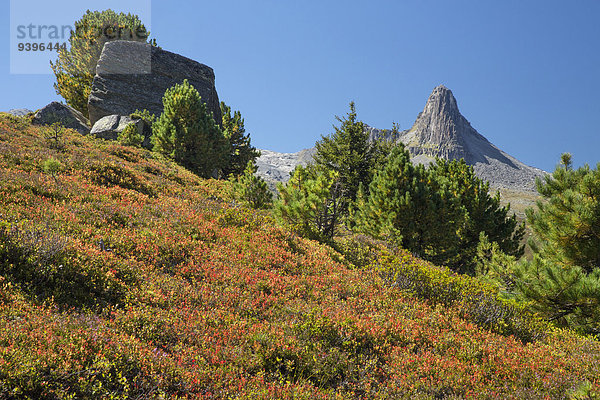 Europa Berg Baum See Zervreilahorn Kanton Graubünden Schweiz Vals Zervreila