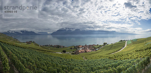 Panorama Europa Wein Landwirtschaft See Genfer See Genfersee Lac Leman Schweiz Weinberg