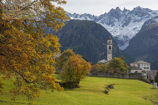 Felsbrocken Europa Berg Stein Steilküste Dorf Herbst Kanton Graubünden Soglio Schweiz