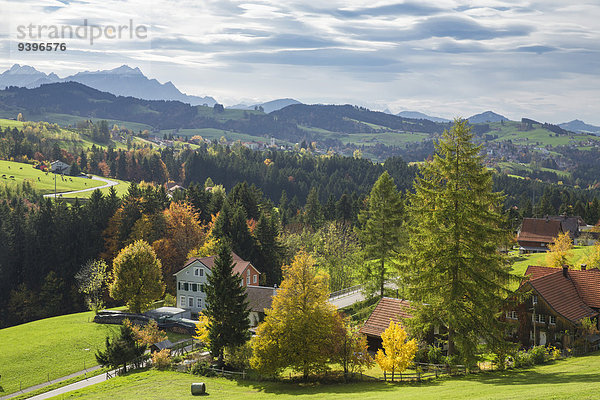Europa Berg Wolke Wald Holz Herbst sehen Schweiz Wetter