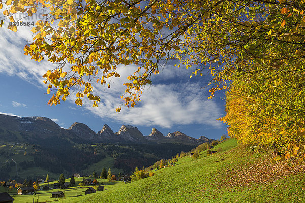 Europa Berg Spiegelung Herbst Schweiz