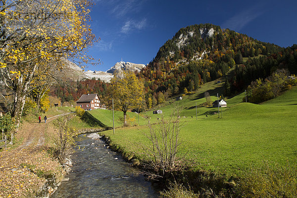 Europa Berg Baum Herbst Schweiz