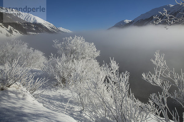 Wasser Europa Winter Baum fließen Nebel Fluss Hotel Frost Kanton Graubünden Engadin Schweiz Gewässer Nebelmeer