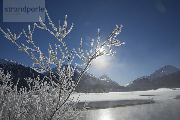 Wasser Europa Winter Baum fließen Nebel Fluss Hotel Frost Kanton Graubünden Engadin Schweiz Gewässer Nebelmeer