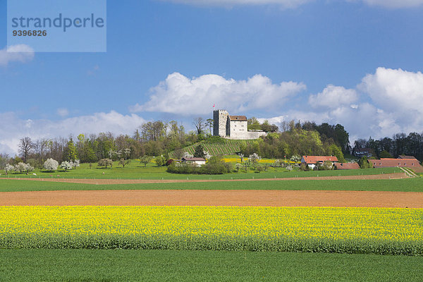 Landschaftlich schön landschaftlich reizvoll Europa Palast Schloß Schlösser Landschaft Landwirtschaft Kanton Aargau Schweiz