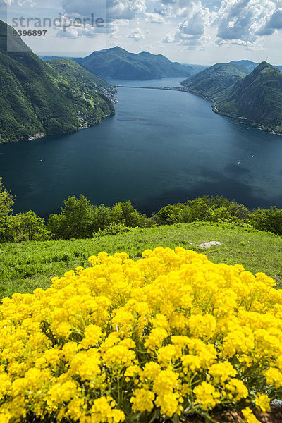 Europa Wolke See sehen Lugano Schweiz Luganersee Südschweiz