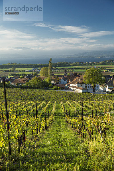 Europa Landwirtschaft Dorf Genfer See Genfersee Lac Leman Weinberg Schweiz