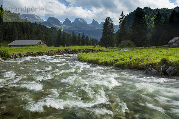 Wasser Europa fließen Fluss Schweiz Gewässer