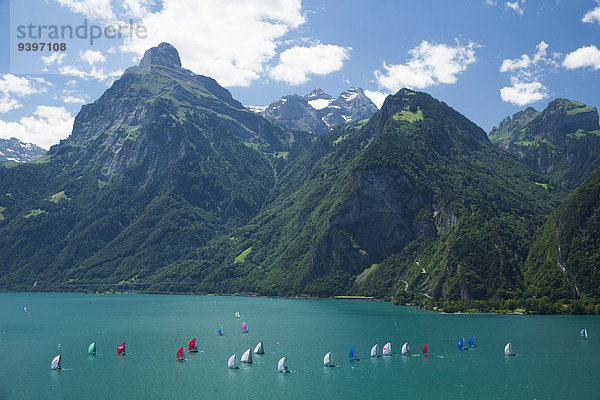 Segeln Europa Wassersport Tretboot Yacht Regatta Schweiz Vierwaldstättersee