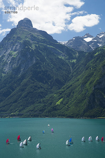 Segeln Europa Wassersport Tretboot Yacht Regatta Schweiz Vierwaldstättersee