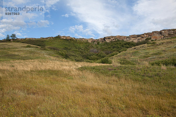 Vereinigte Staaten von Amerika USA Landschaftlich schön landschaftlich reizvoll Amerika Landschaft Nordamerika Alberta Kanada Prärie