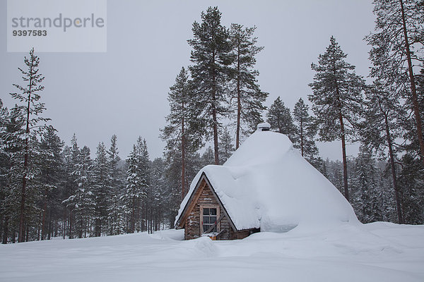 Landschaftlich schön landschaftlich reizvoll Europa Winter Wohnhaus Baum Landschaft weiß Finnland Lappland Schnee