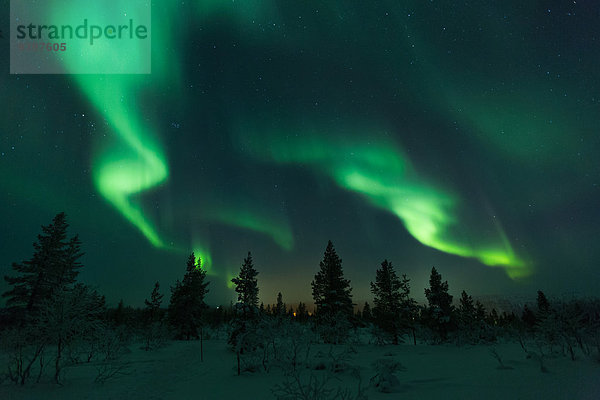 Nationalpark Landschaftlich schön landschaftlich reizvoll Europa Winter Nacht Himmel Landschaft Polarlicht Finnland Lappland Schnee Aurora borealis