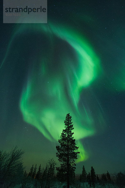 Nationalpark Europa Winter Himmel Polarlicht Finnland Lappland Schnee Aurora borealis