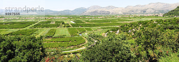 Panorama Landschaftlich schön landschaftlich reizvoll Europa Berg Sommer Frucht Himmel Landschaft Hügel grün Gemüse Landwirtschaft Reise Fluss Dorf anbauen Balkan Kroatien Bewässerung