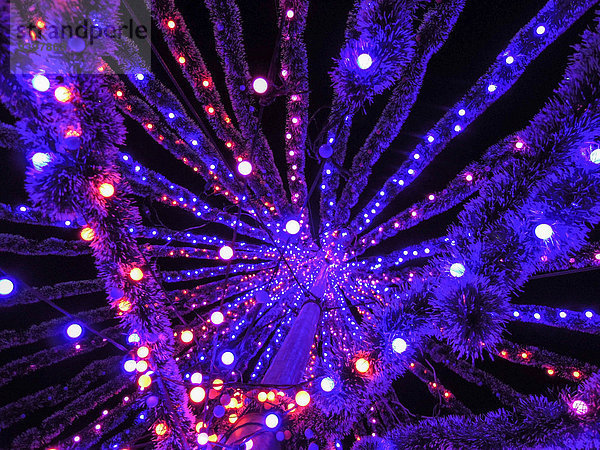 Veilchen viola Nacht Konzept Hintergrund Beleuchtung Licht Faden Muster rot psychedelisch