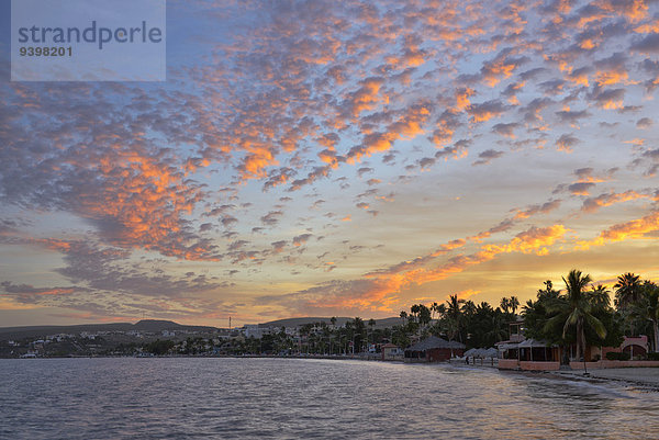 La Paz Hauptstadt Farbe Farben Ufer Sonnenaufgang schlafen Großstadt Nordamerika Mexiko lateinamerikanisch Baja California Bucht Malecon