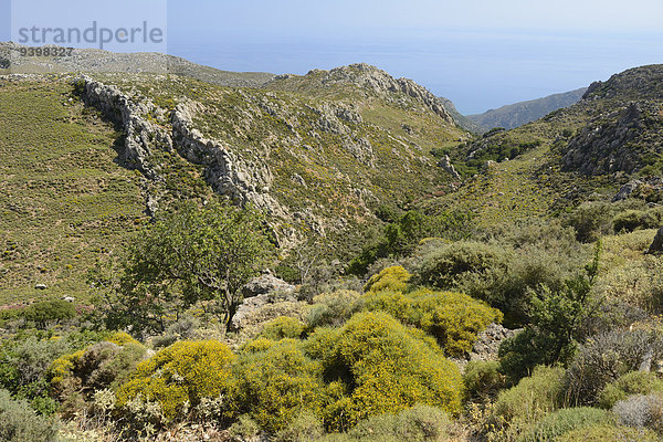 Europa Landschaft Insel Griechenland Kreta griechisch