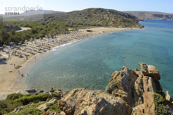 Europa Strand Meer Insel Griechenland Kreta griechisch Palmenstrand