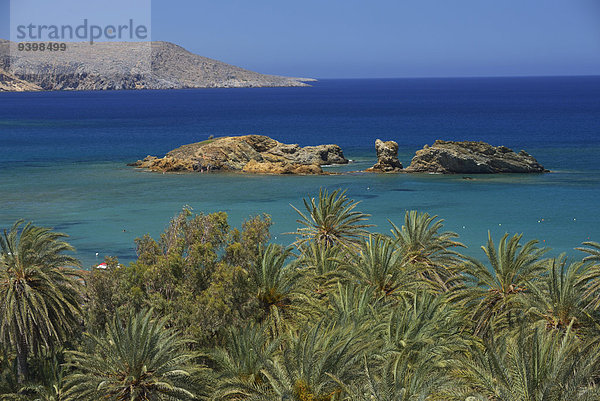 Palme Europa Strand Meer Insel Griechenland Kreta griechisch Palmenstrand