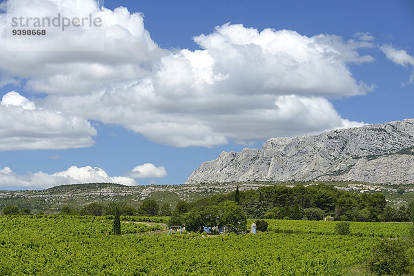 Frankreich Europa Wein Landschaft Weinberg