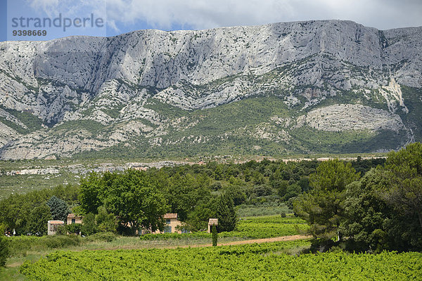 Frankreich Europa Wein Landschaft Weinberg