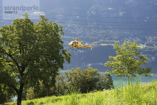 Europa Transport Seil Tau Strick Hubschrauber Berner Oberland Schweiz