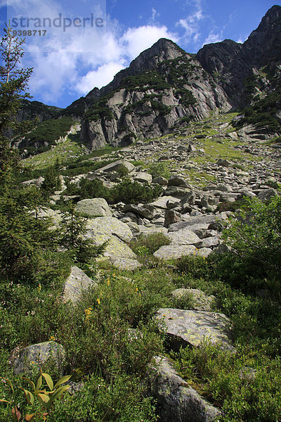 Europa Berg Stein Berner Oberland Schweiz