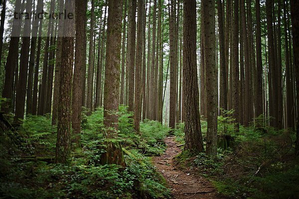 Nature Trails