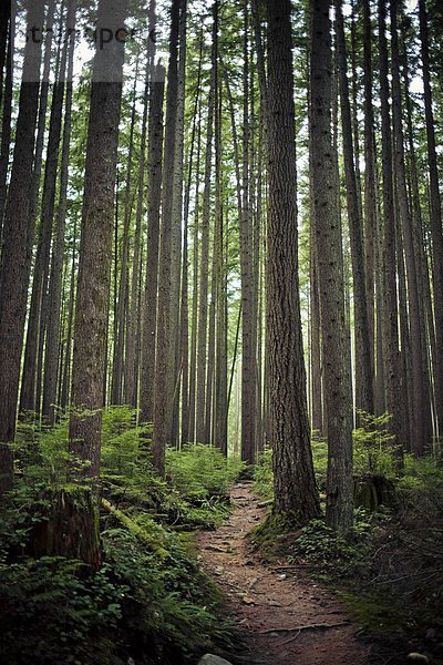 Nature Trails