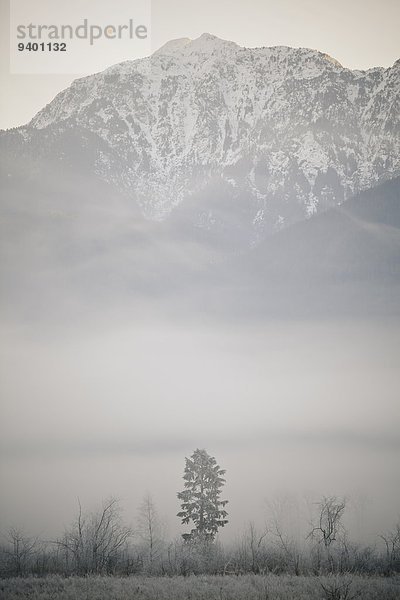 Winterlandschaft