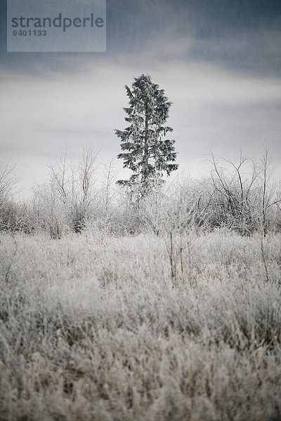 Winterlandschaft