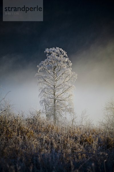 Winterlandschaft