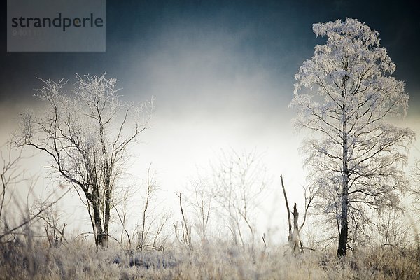 Winterlandschaft