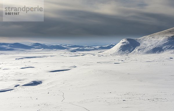 Norwegen Dovrefjell-Sunndalsfjella-Nationalpark