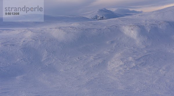 Norwegen Dovrefjell-Sunndalsfjella-Nationalpark